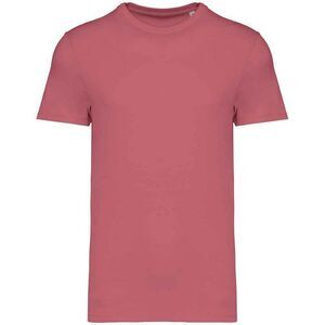 Native Spirit Unisex Adult Heavyweight Slim T-Shirt / Antique Rose